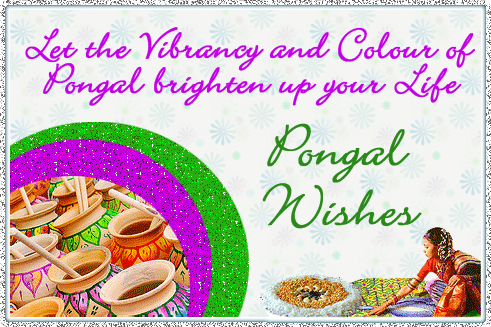 Pongal Wishes-G123174