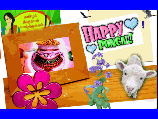 Sweet Image Of Pongal-G123251