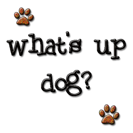 What's Up - Dog-G123326