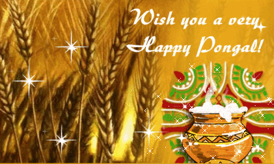 Wish You A Joyous Pongal-G123354